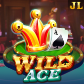 Wild Ace - casini game